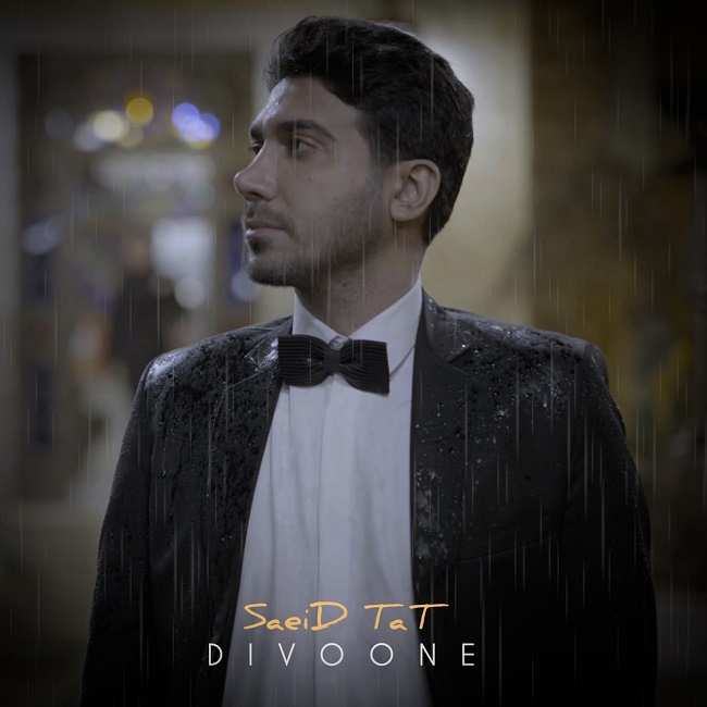 دانلود آهنگ دیوونه